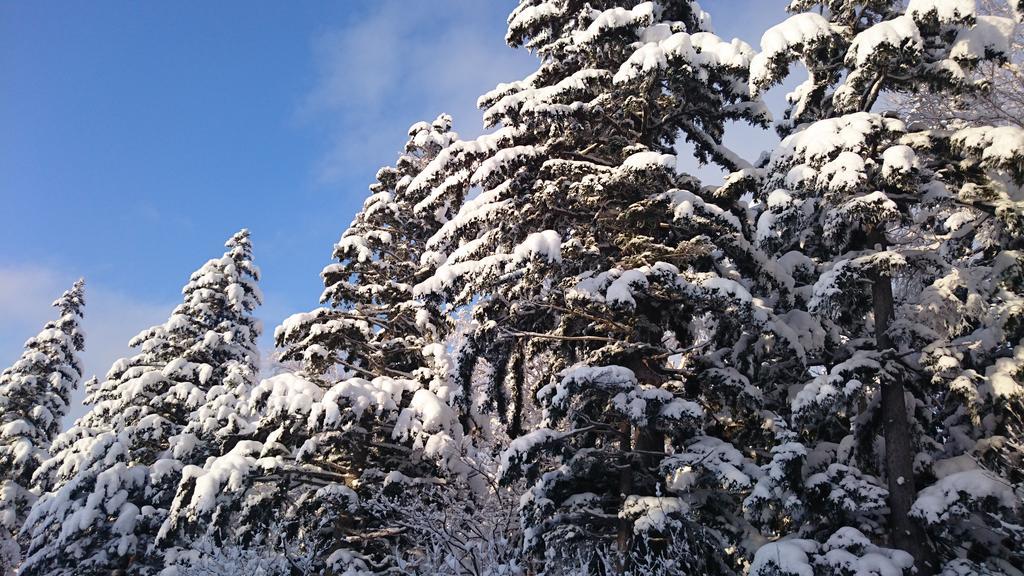 Ryounkaku Kamifurano Exteriör bild