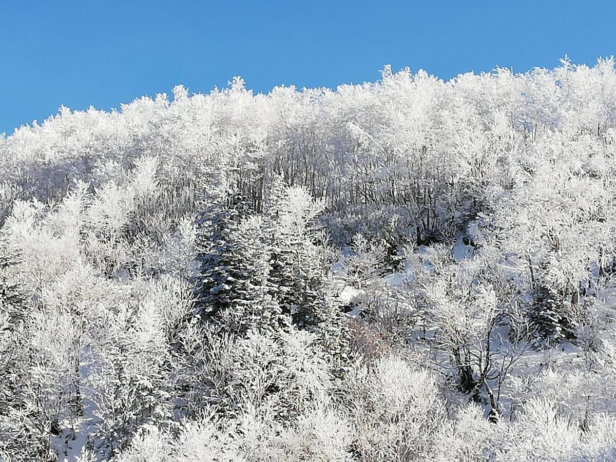 Ryounkaku Kamifurano Exteriör bild